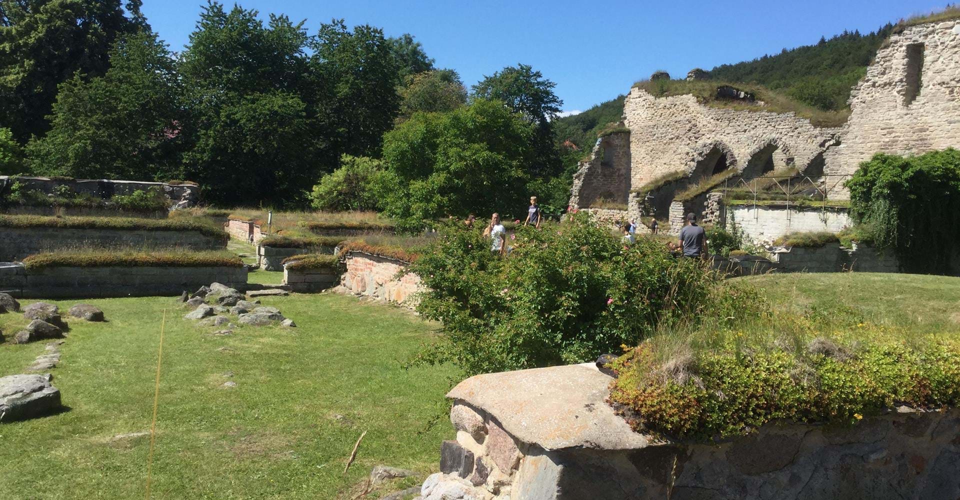 Alvastra klosterruin