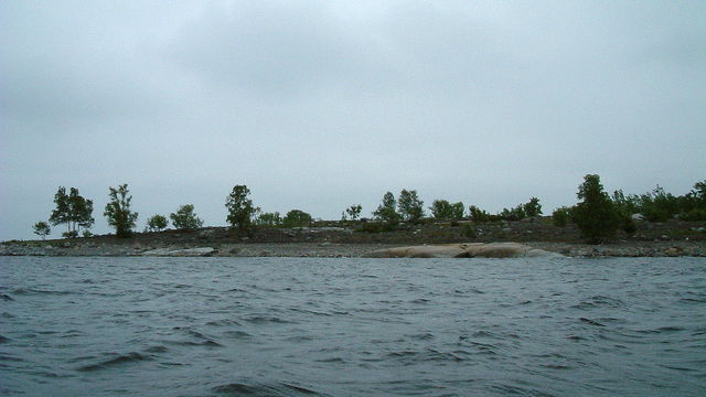 Vitfågelskäret