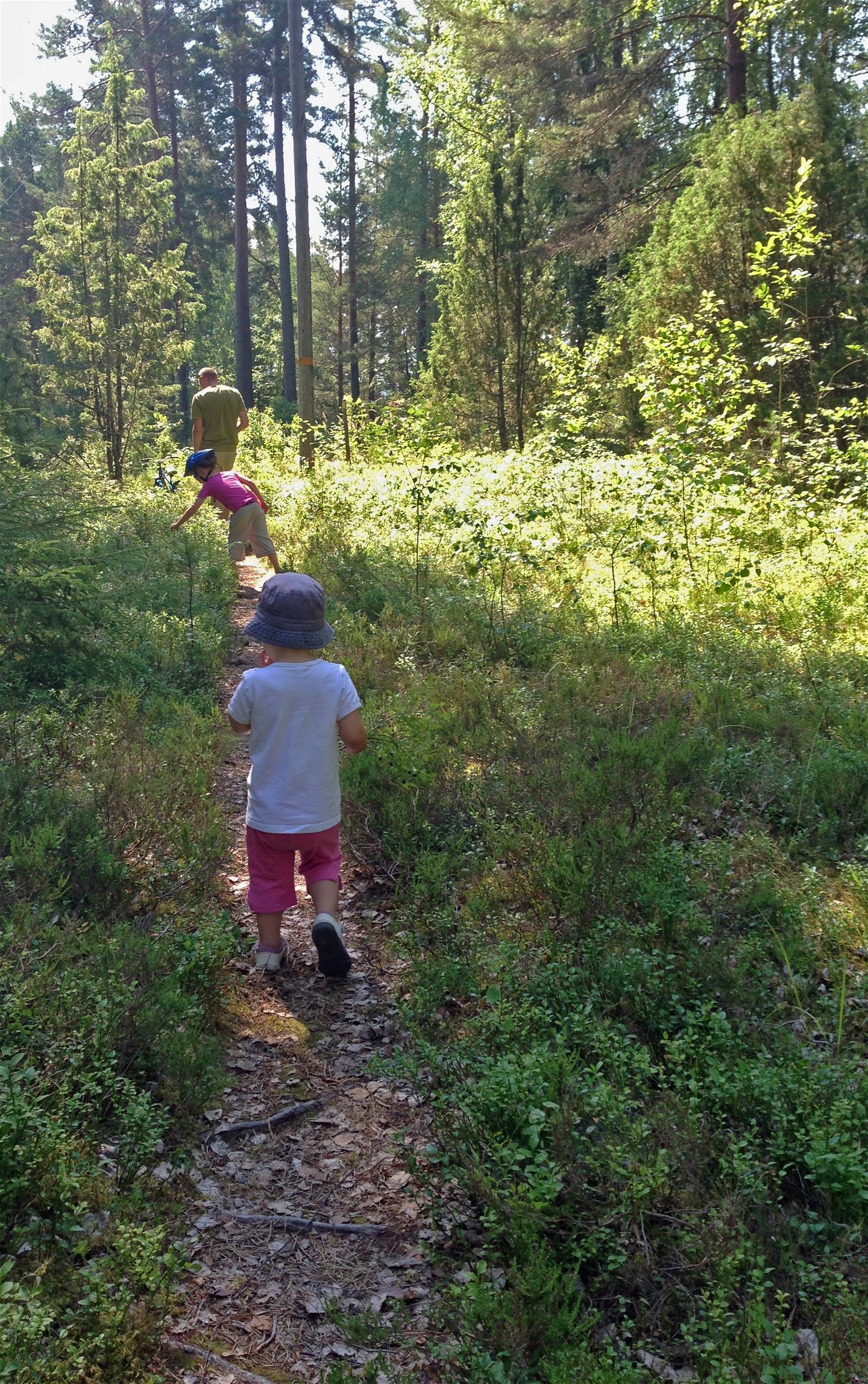 Två barn och en vuxen går längs med en smal stig genom skogen.