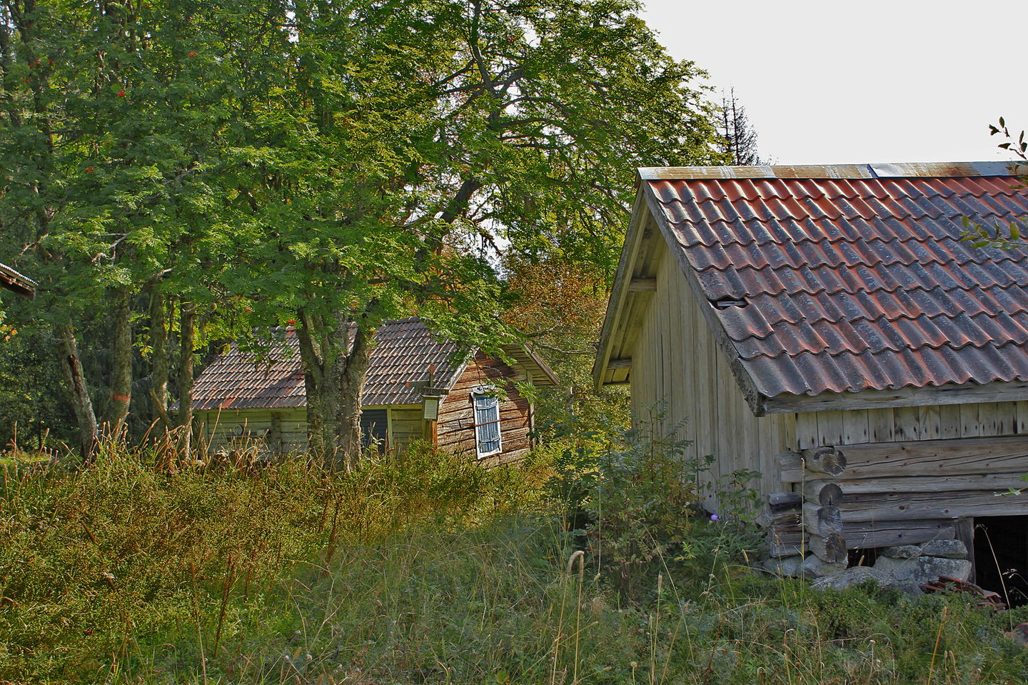 Foto: Bengt Erkers
