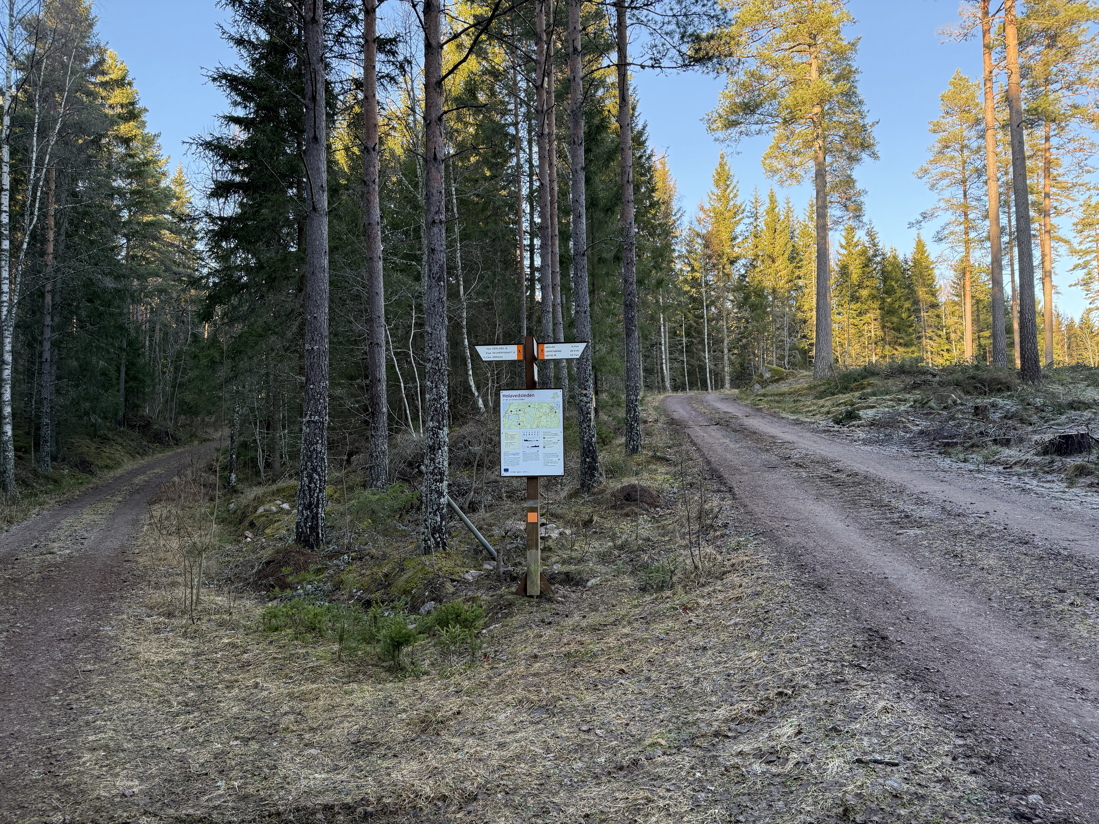 Örserum, ledentré HO1/HO2/A1