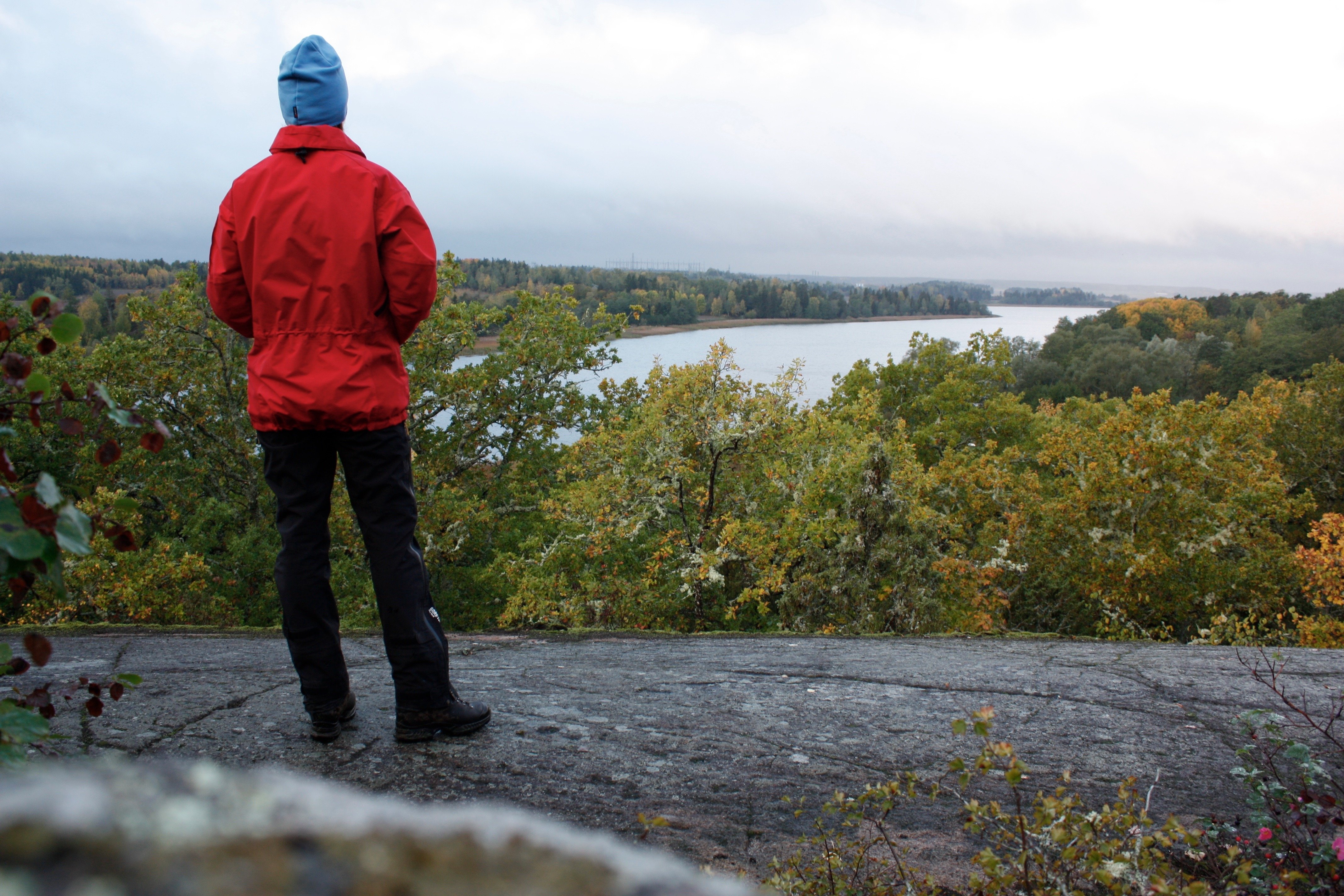 En person står uppe på ett högt berg och tittar ut över skog och vatten.