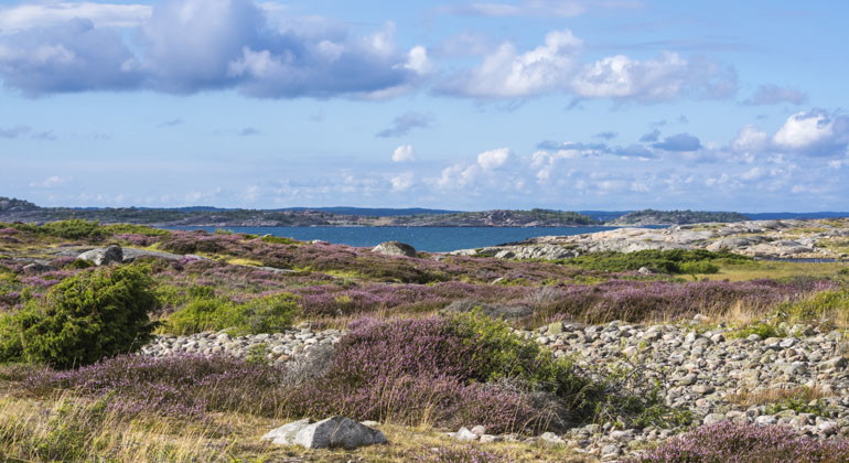Bild från Mostphotos som visar en vy över reservat och havet