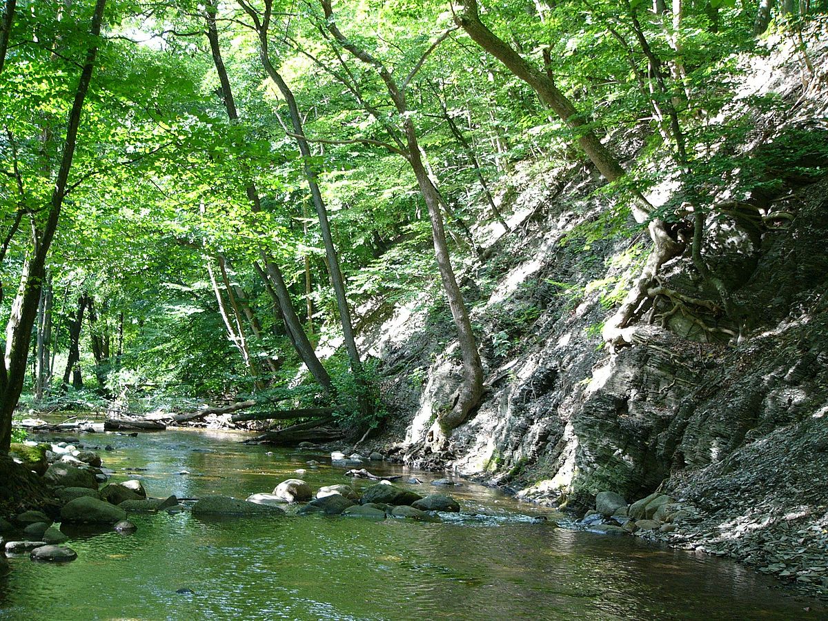 Rövarekulan