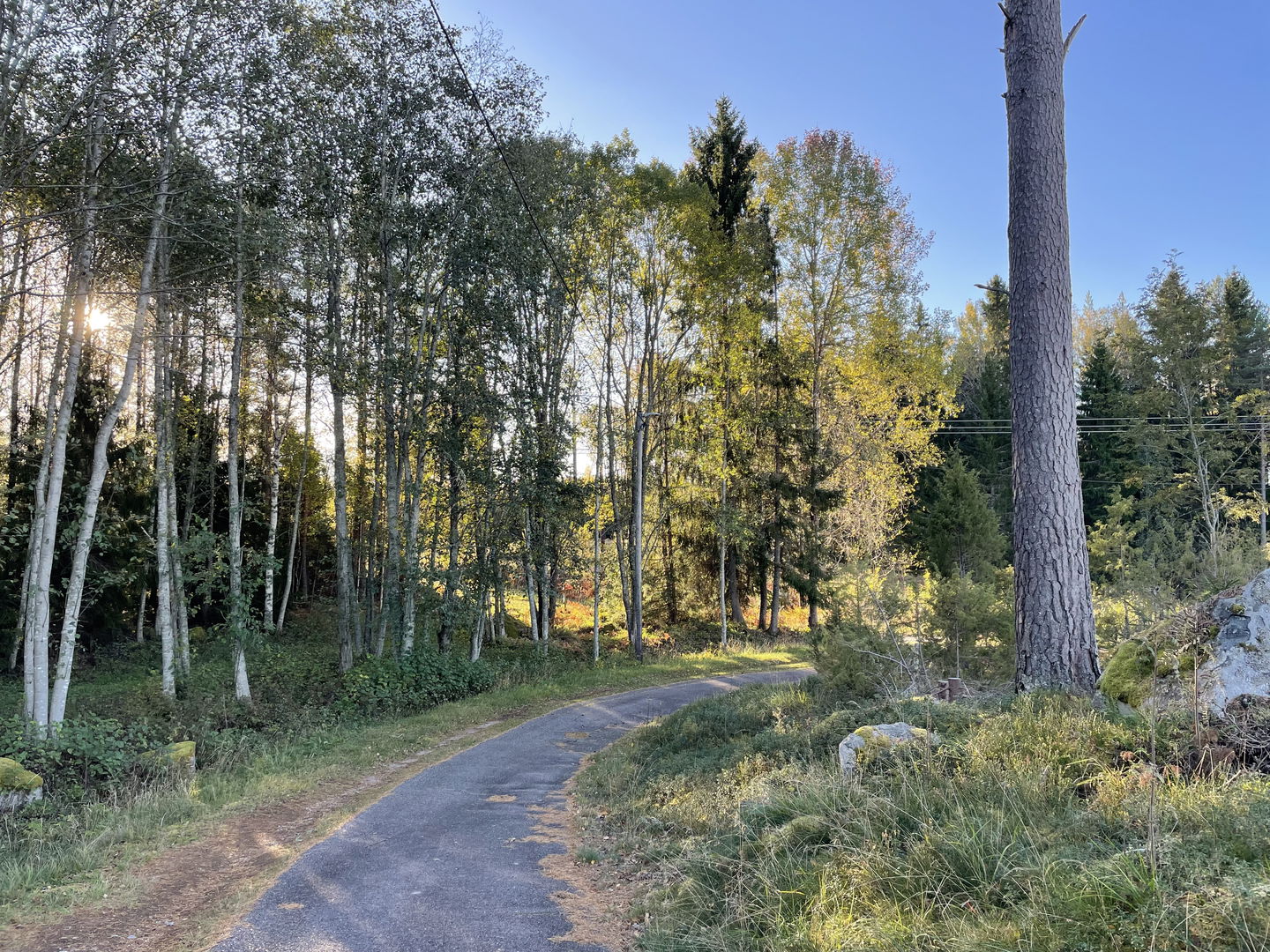 2,5 km spår med hälften asfalterad yta och hälften bärlager. Motionsspåret går i skogsmiljö. 