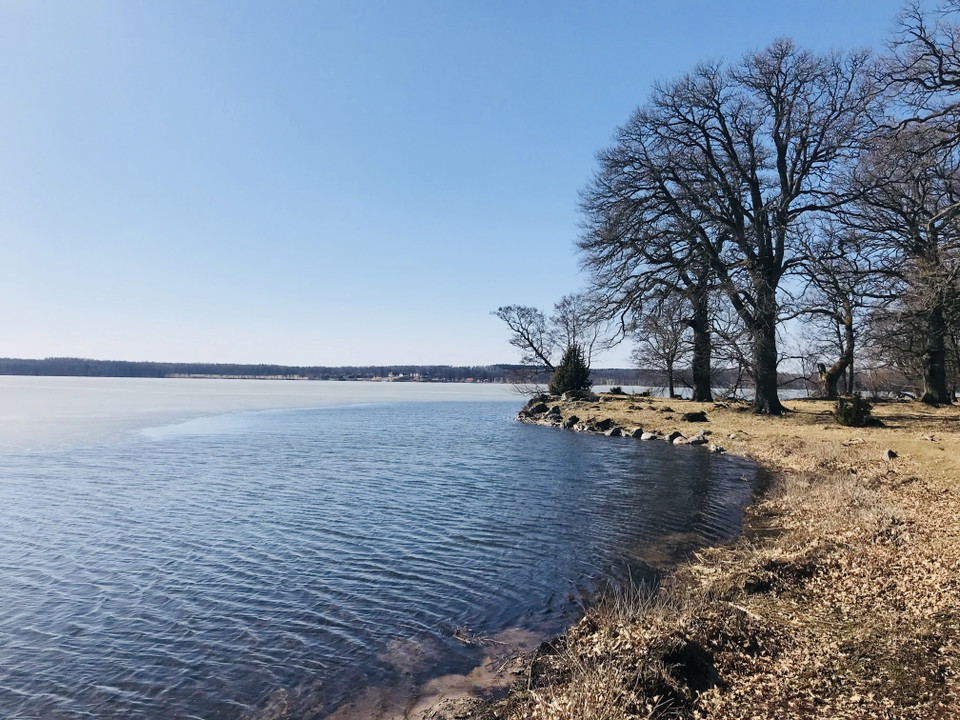 Väsby naturreservat, foto: Josefine Karlsson