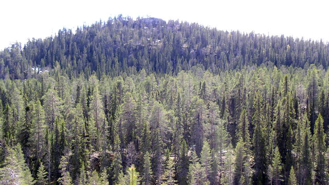 Trollberget