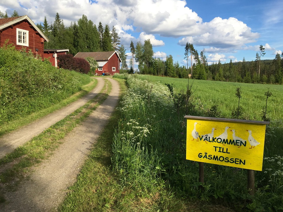 Välkommen till Gåsmossen
