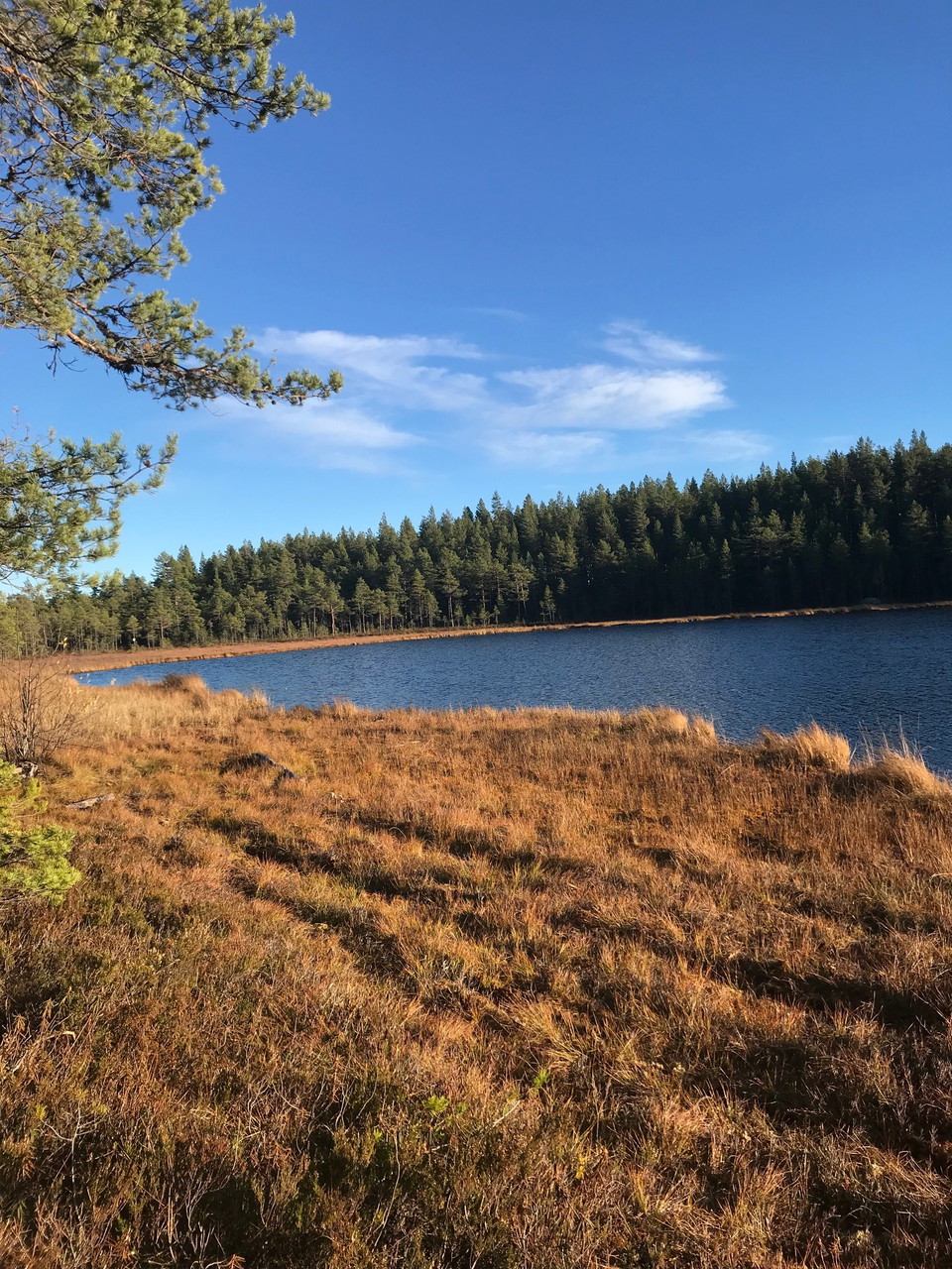 Kvicktjärn, här finn även ett vindskydd där du kan vila.