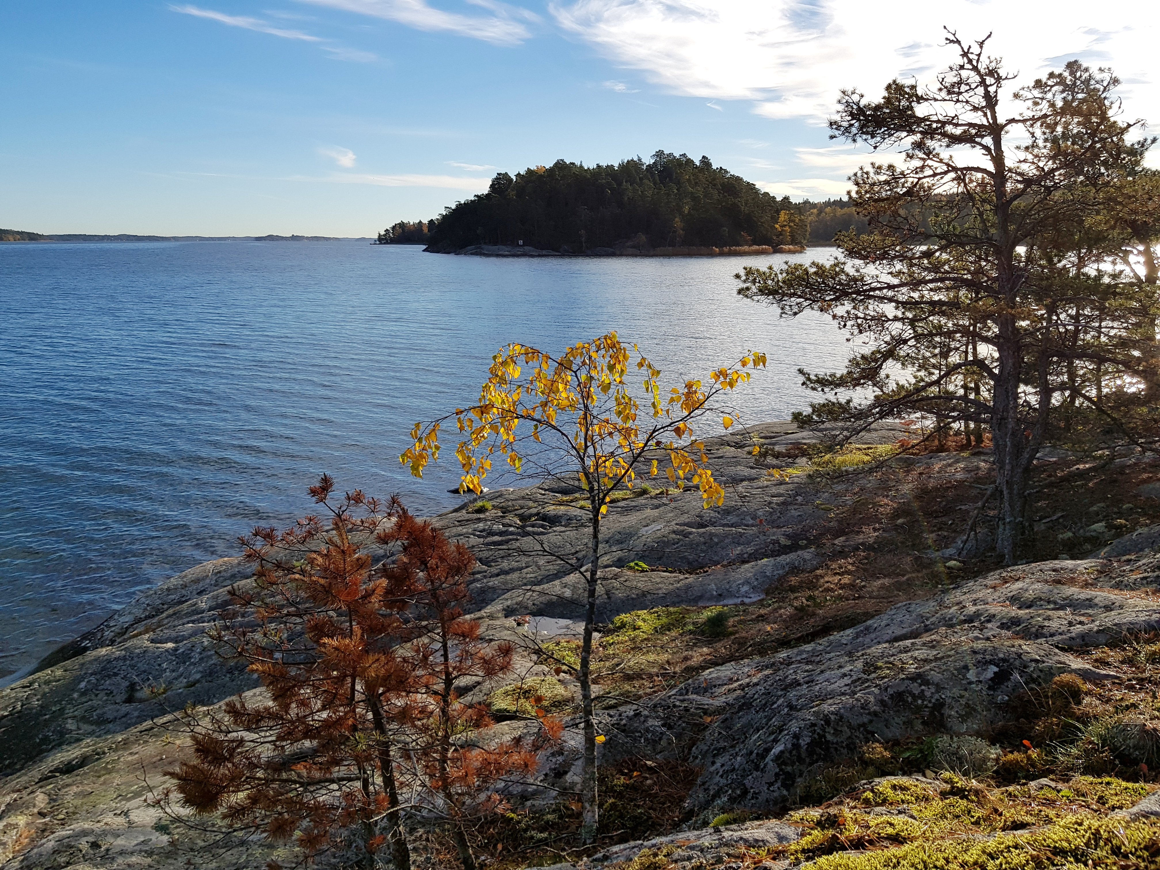 Utsikt över Askrikefjärden från nordöstra Bosön. Foto Lidingö stad.