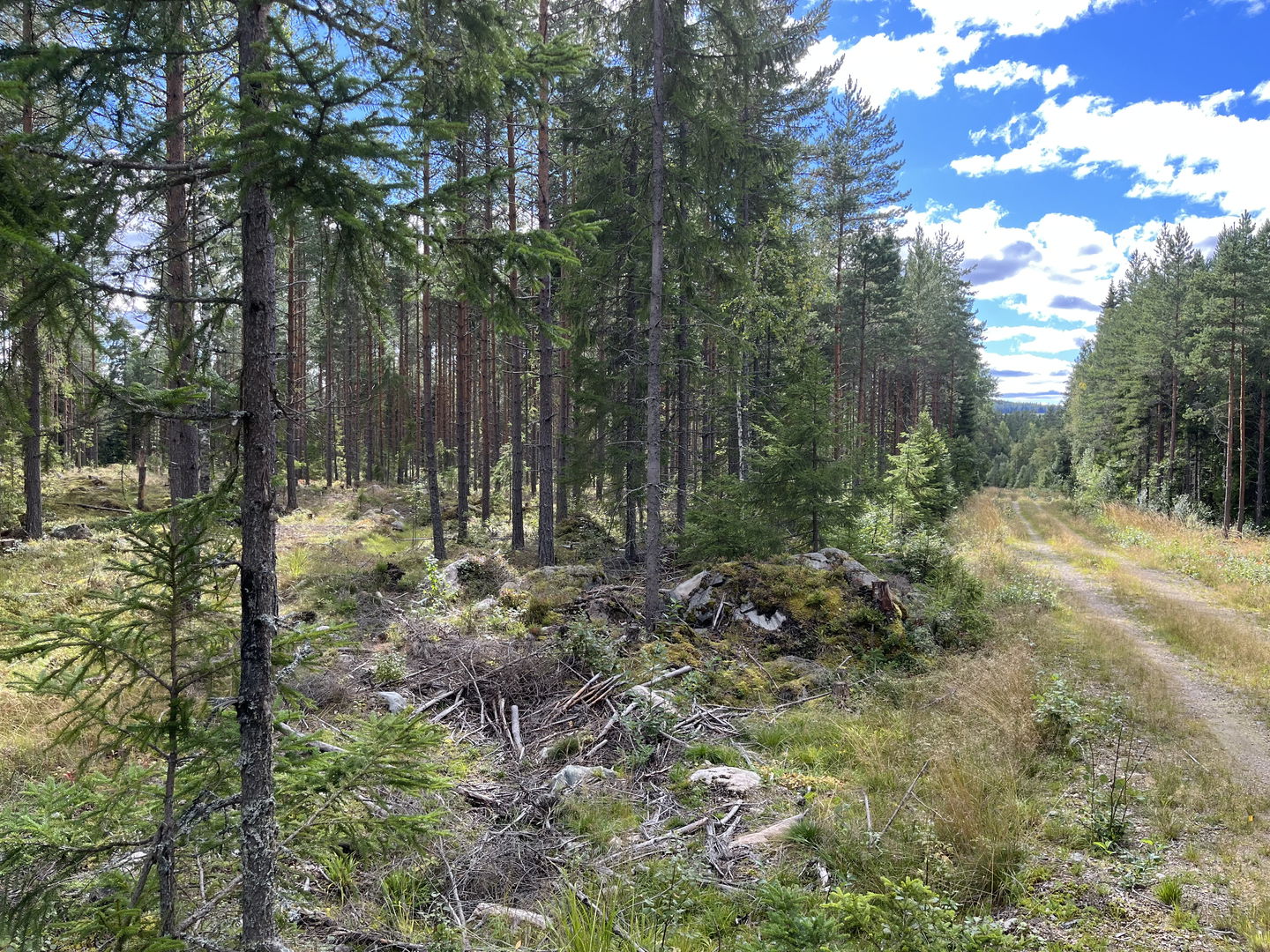 Vy mot konstgång och väg till Jordstensgruvan