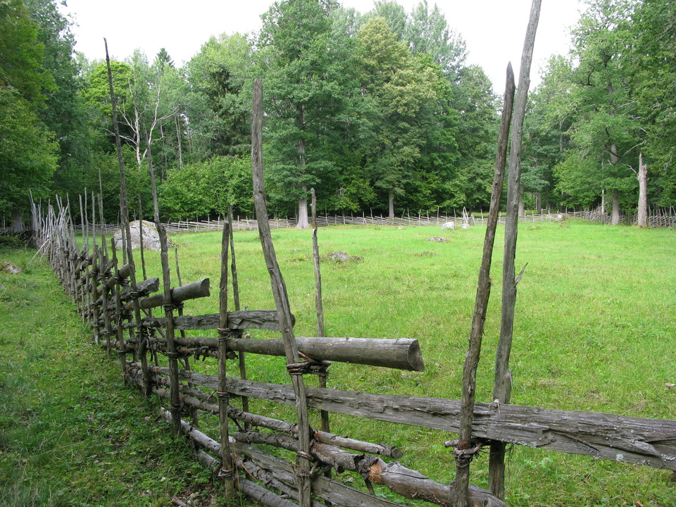 En gärdesgård står runt en äng. På ängen finns flera stora stenar och i bakgrunden växer många lövträd.