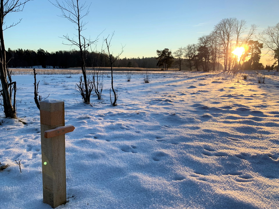 Följ orange ledmarkering på stolpar och träd.