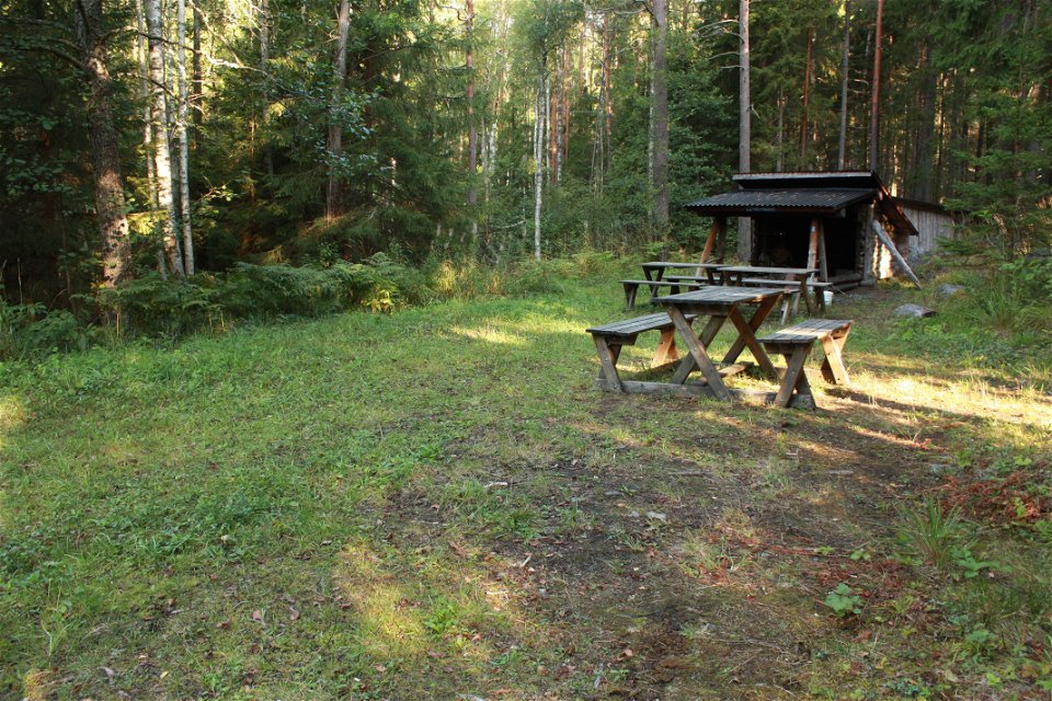 I en skogsglänta står ett vindskydd och flera bänkbord.