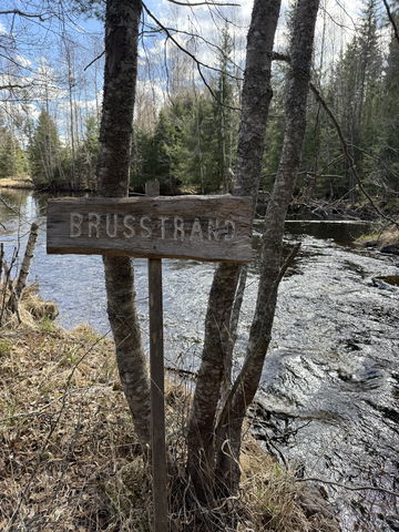 Skogsstigen Brusstrand, Långhed