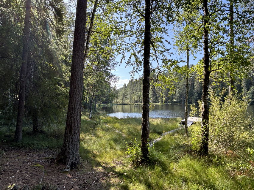 Vy över tjärnen