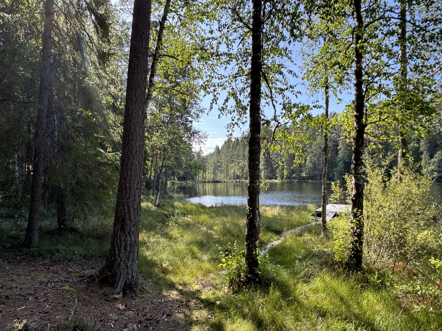 Vy över tjärnen