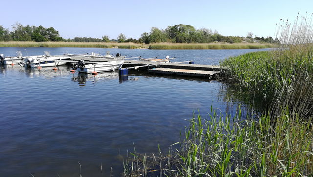 Kajakbrygga Nättraby Tallholmen