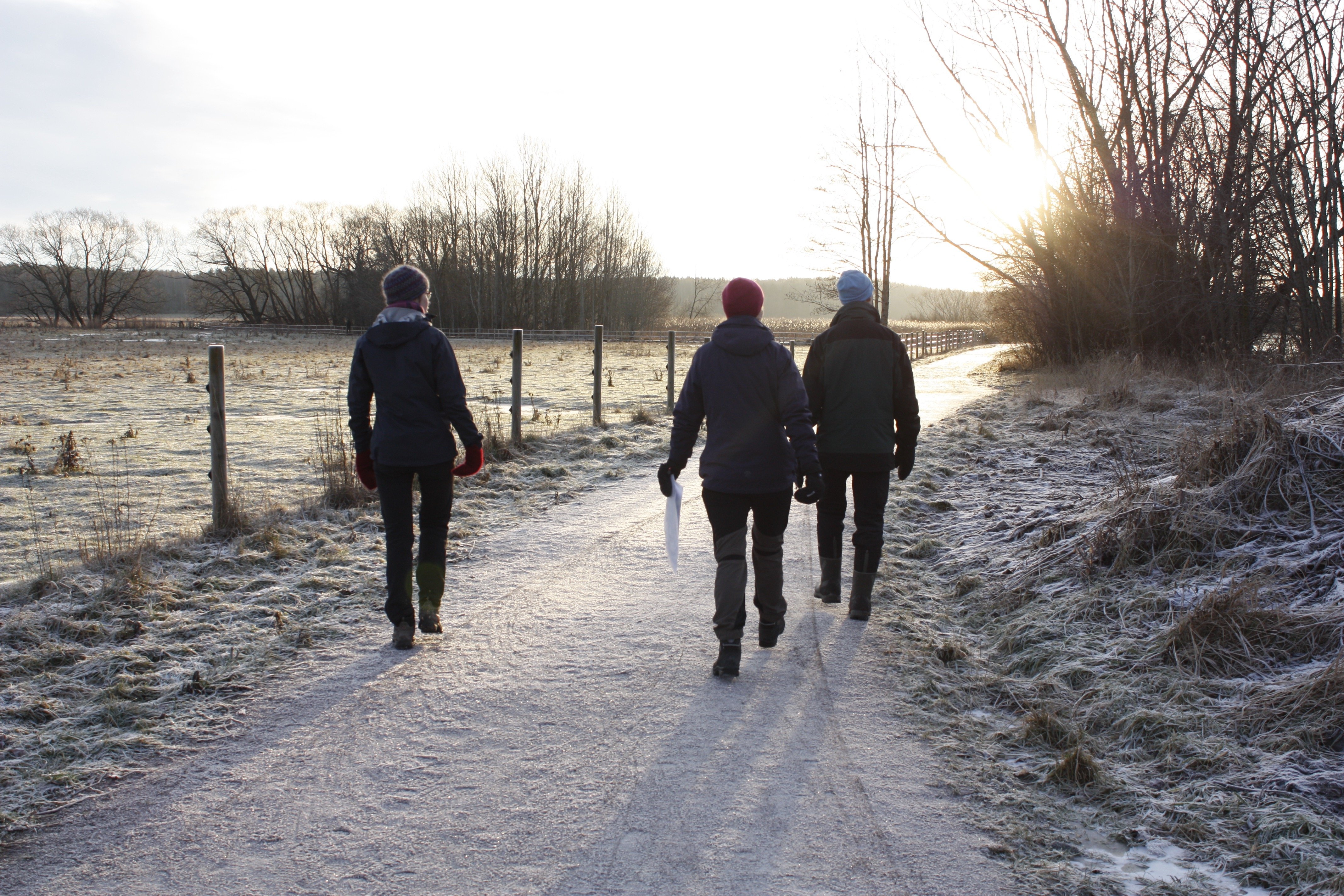 Tre vuxna promenerar längs en gångväg med stängslad hage på ena sidan. Det är frost och lite snö på marken.