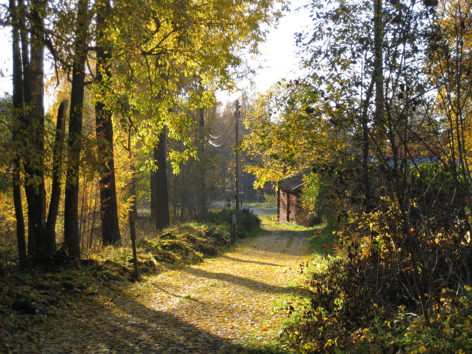 Foto: Länsstyrelsen Dalarna