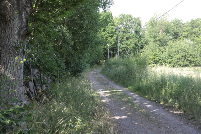 Rinkabyholm motionsspår