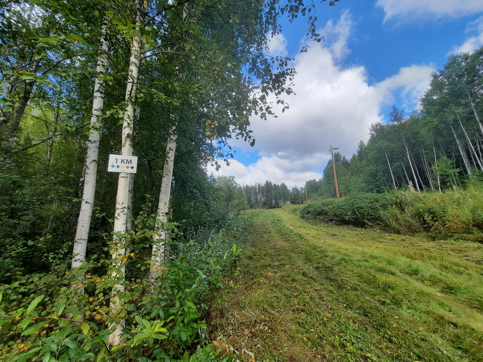 Spåren röjs för att underlätta spårdragning på vintern. Det är inte alltid det är klippt på sommaren.