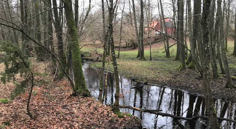 Vramsån.