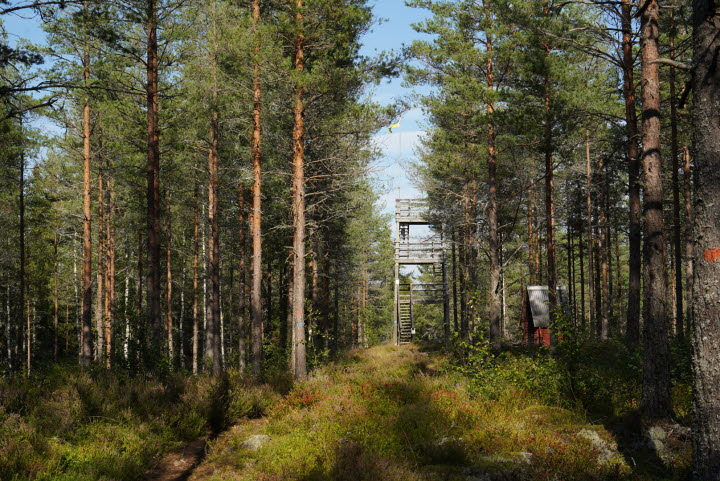 Torrskogsleden