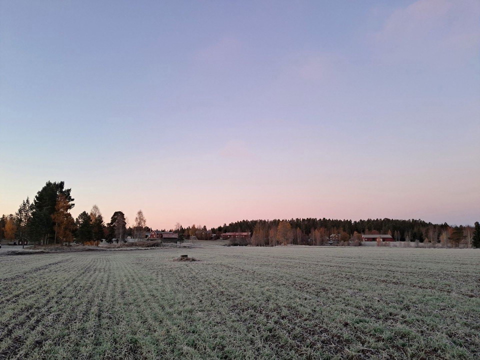 En äng med träd och en byggnad i bakgrunden.