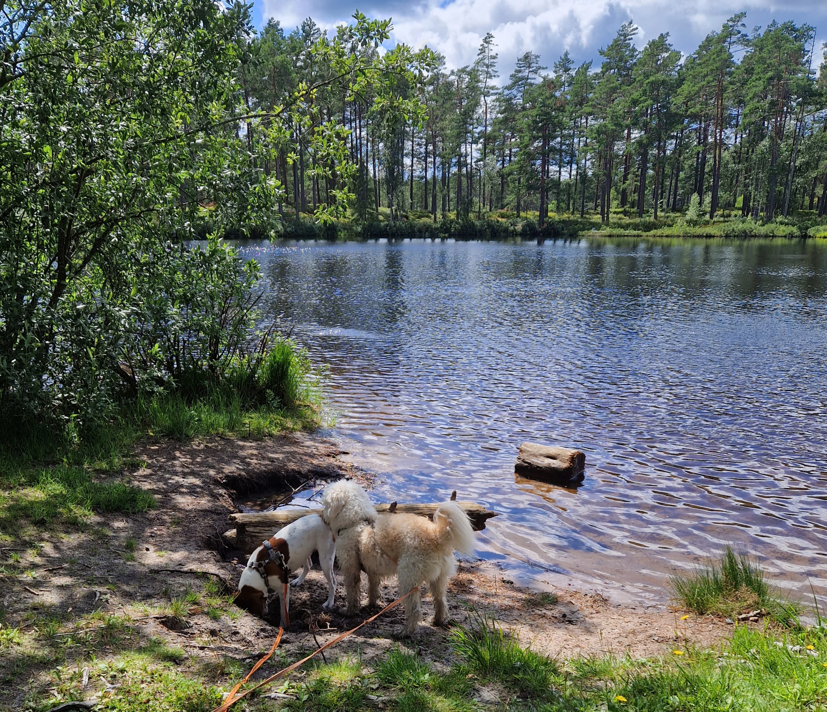 Fagerhult 15 km, löpar/vandringsspår