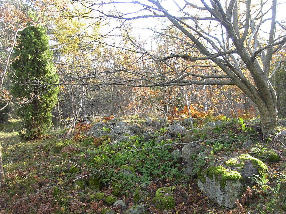 Sticklinge forngravfält vid Tyktorpsvägen. Foto Lidingö stad.