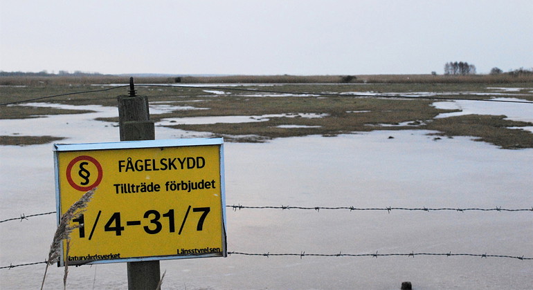 Fågelskyddsområde.