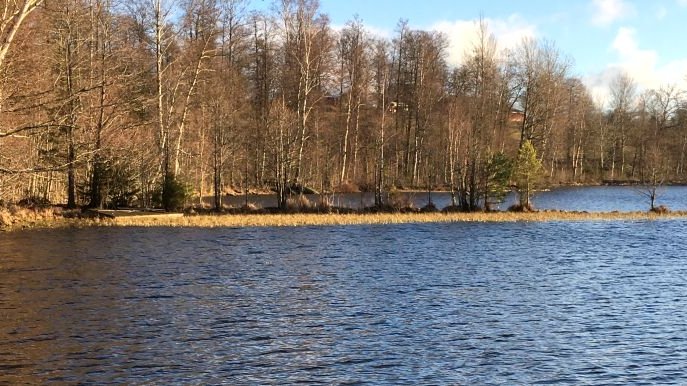 Sötåsasjöns fvof
