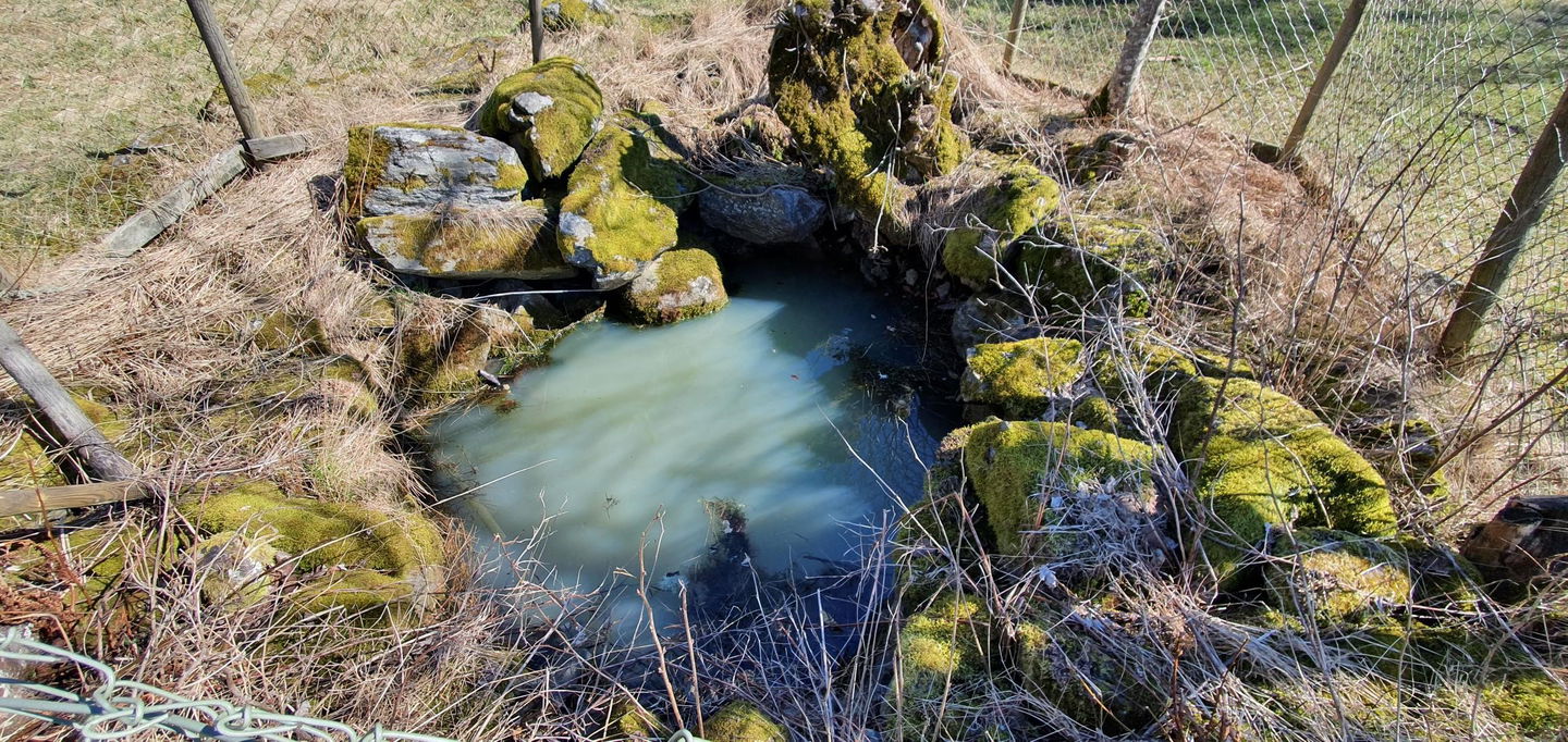 Den gamla stensatta brunnen.
