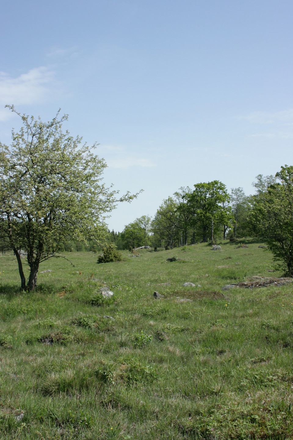 Fotograf: Eva Elfgren