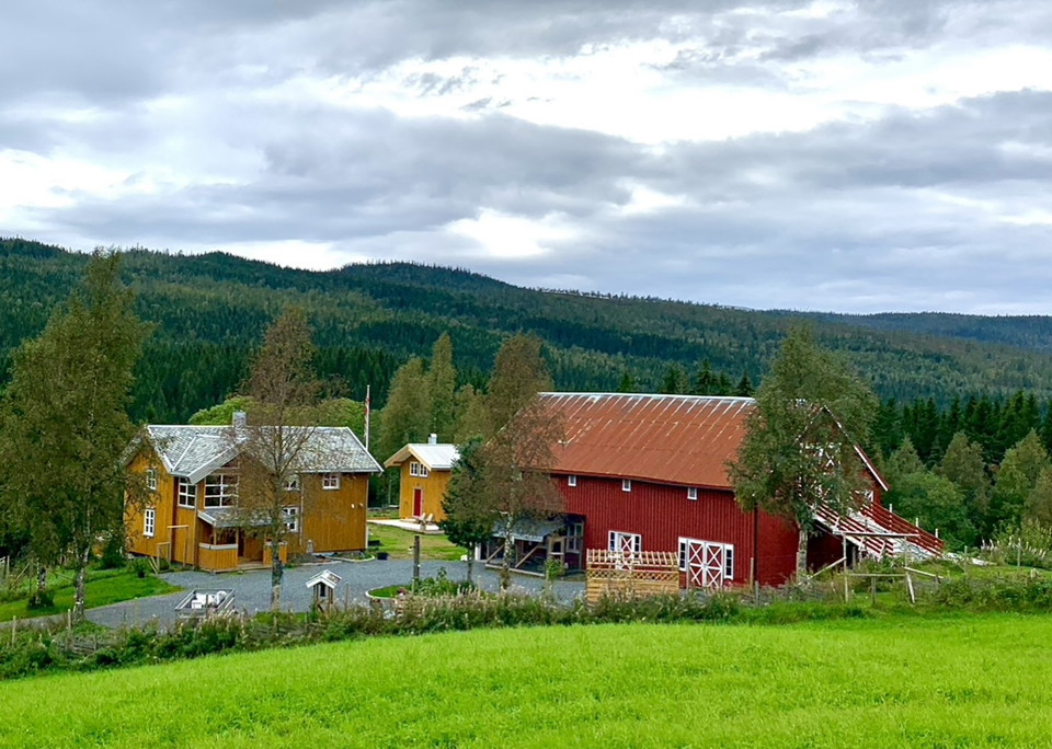 Skogset i Sul