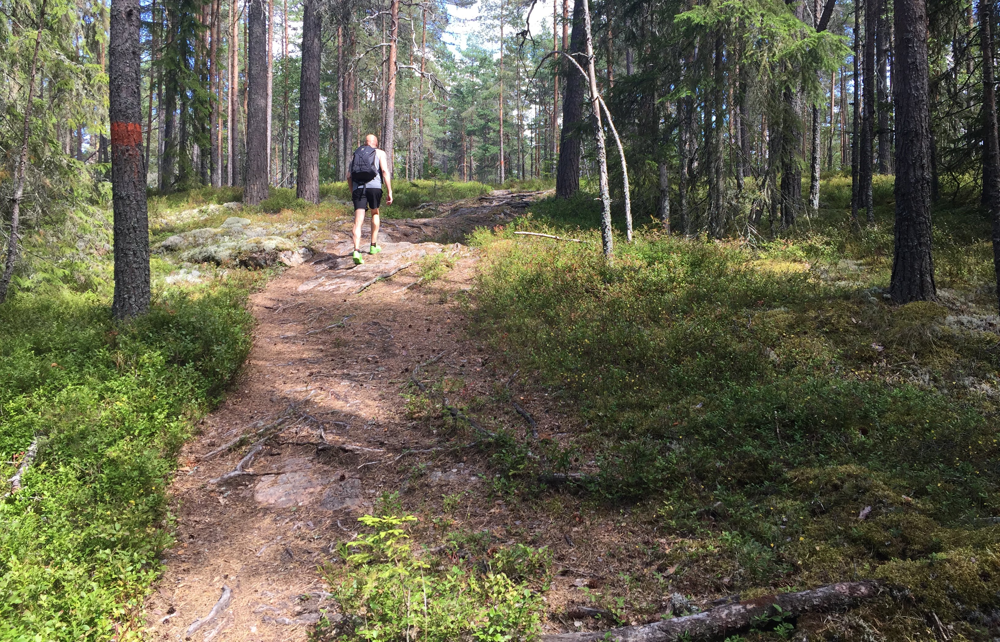 En person med ryggsäck vandrar på en stig i skogen.