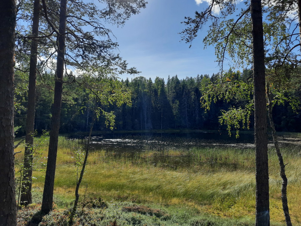 Ögat passeras på vägen