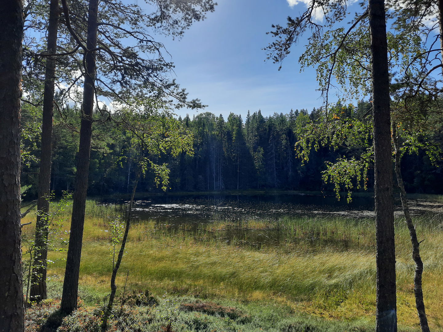 Ögat passeras på vägen