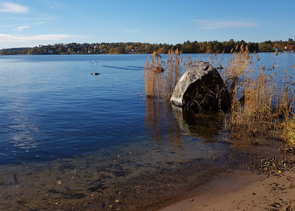 Strand vid Taheiti. Foto Lidingö stad