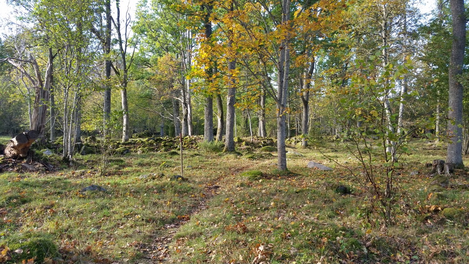 Värnamo Kommun