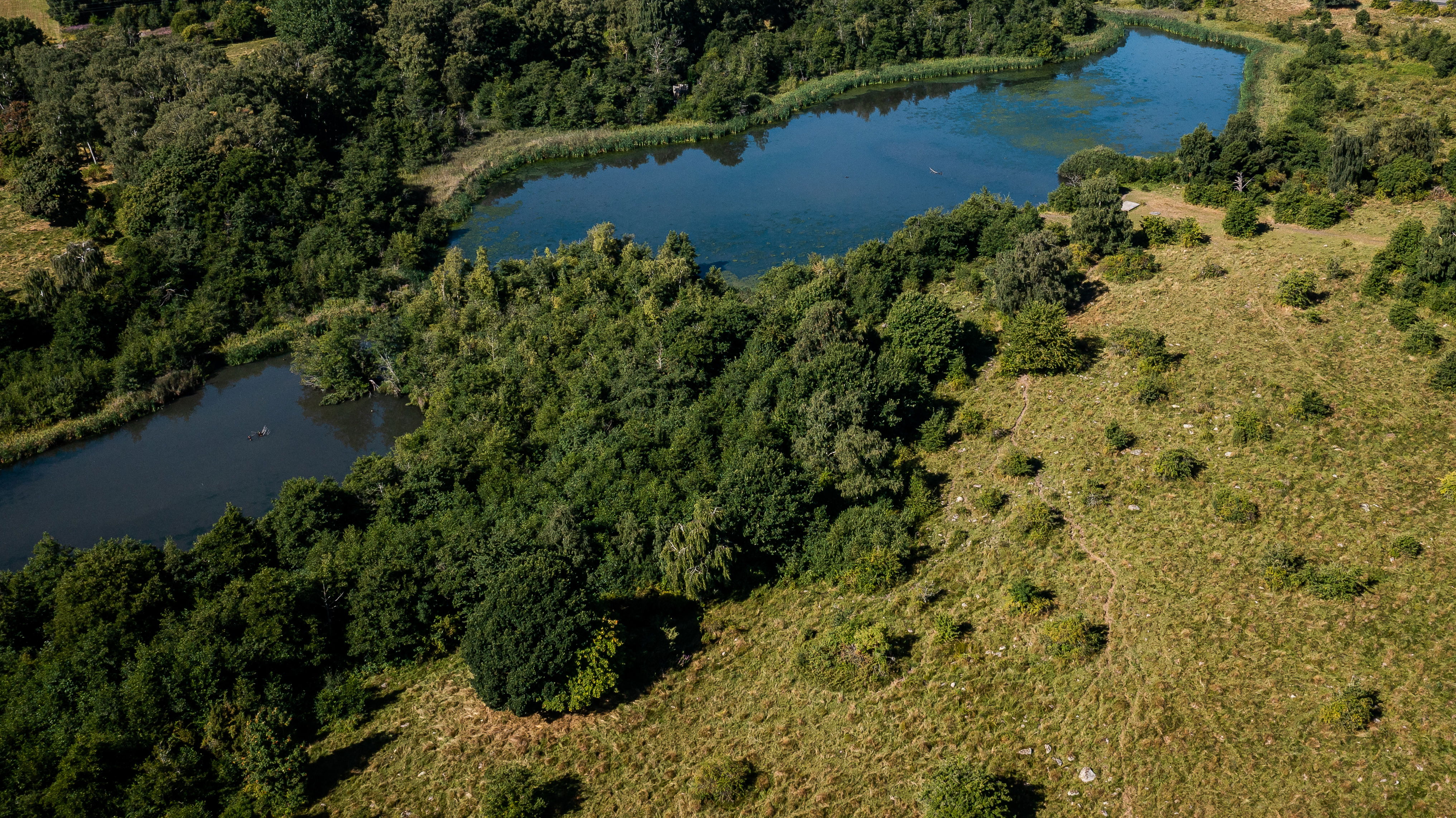 Abullahagen naturreservat, Långakärr, Eslöv