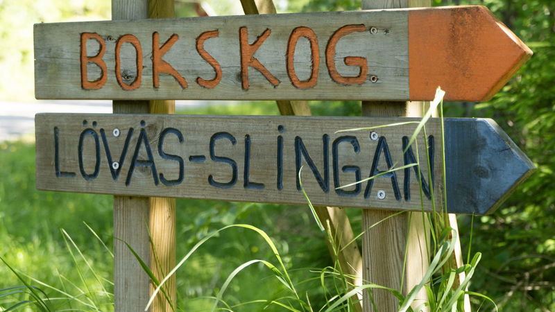 Bokskogsslingan och Lövåsslingan i Borgvik