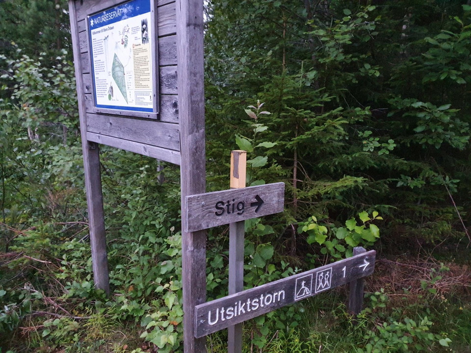 Starten