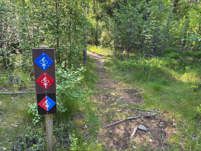 Mountainbike Blåmesen