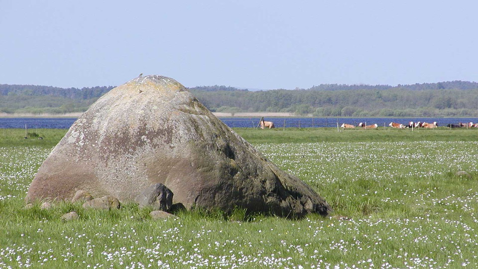 Ett stort stenblock ligger på ängen.