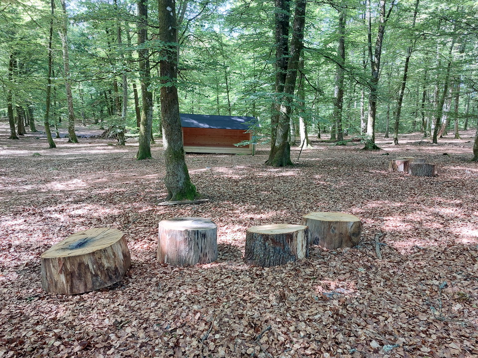 Balans, skogslek och vindskydd