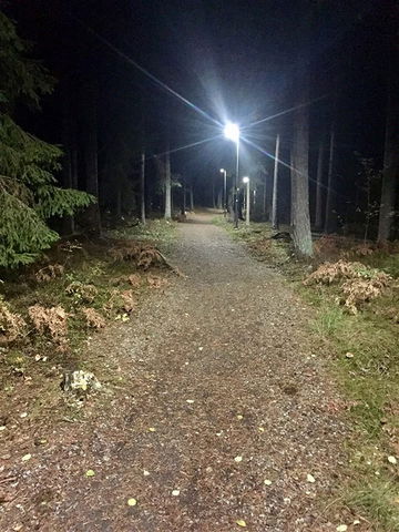 Östra Husby elljusspår