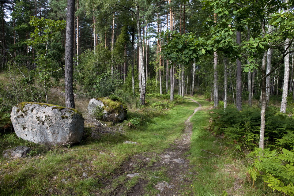Torbjörn Arvidson