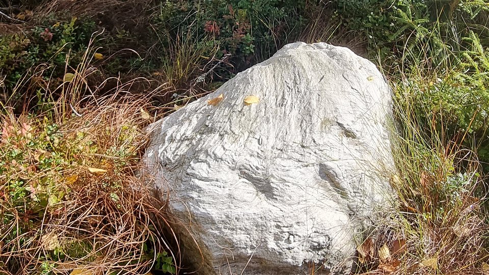 Sten intill leden vid myren, söder om dammen vid Övre Bruket. 